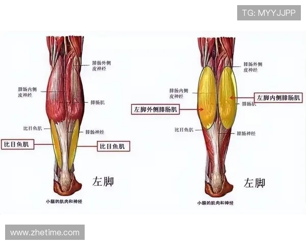 官方确认莱默左小腿肌肉撕裂